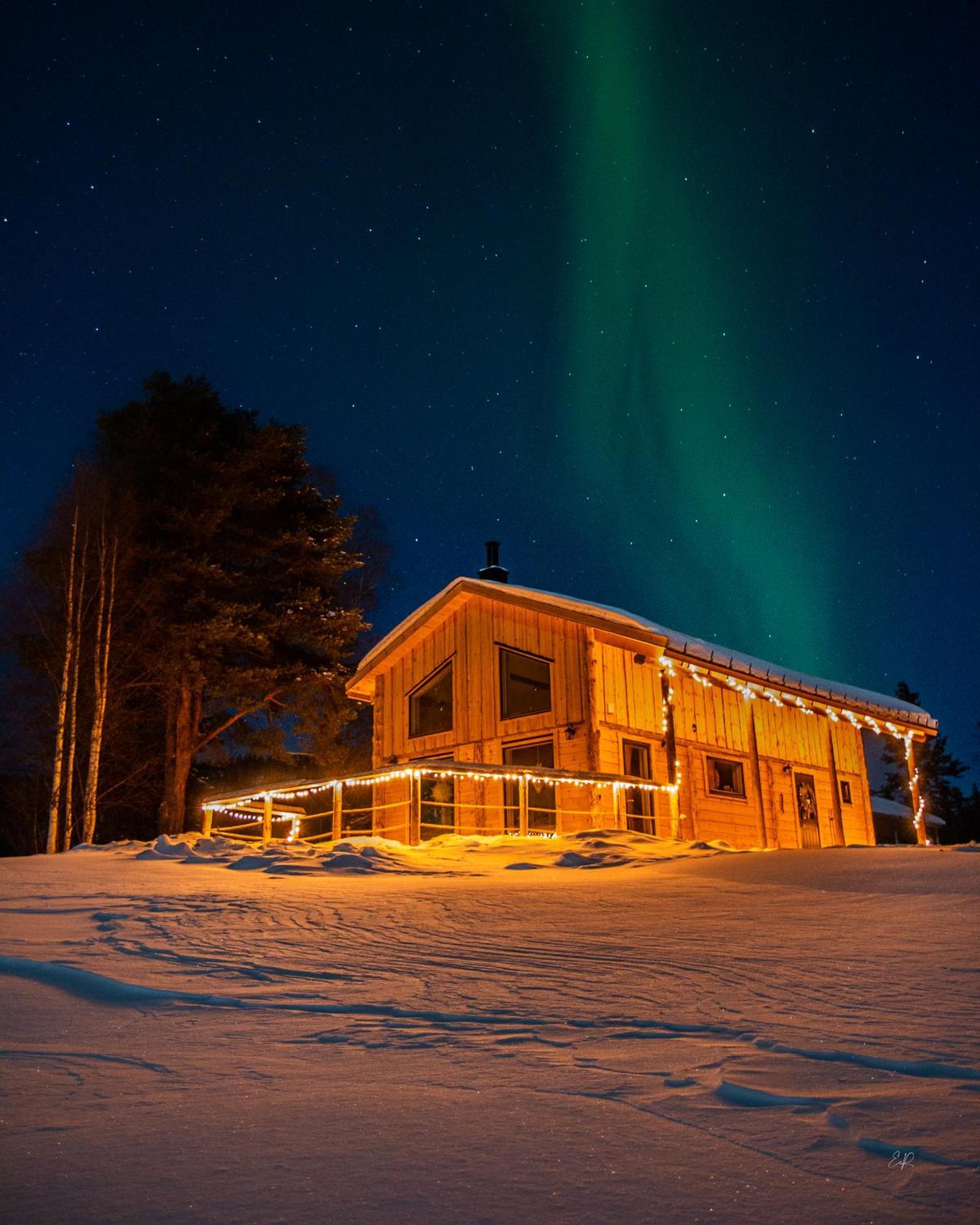 Blueberry Lodge 5 Personnes Mjolan المظهر الخارجي الصورة