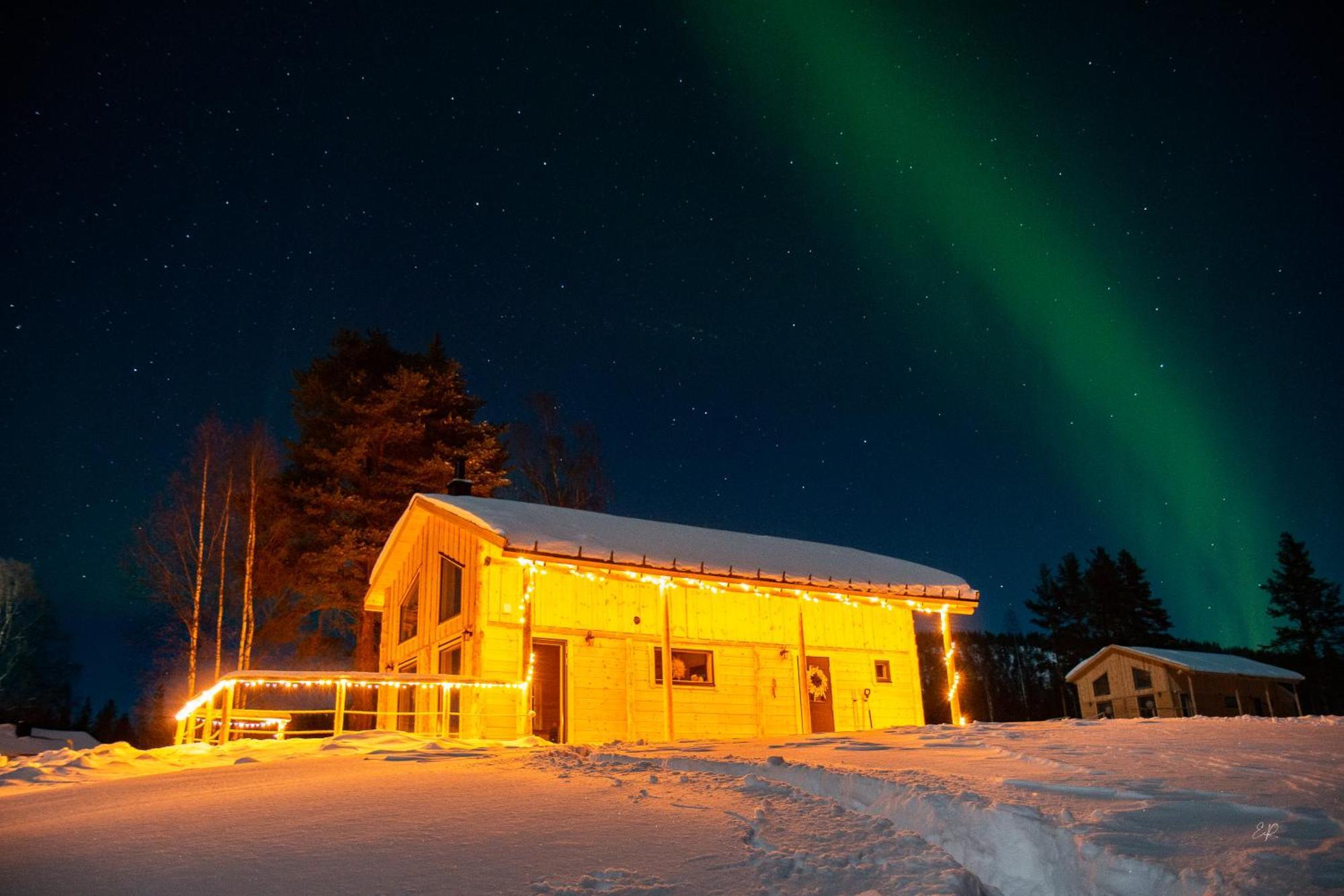 Blueberry Lodge 5 Personnes Mjolan المظهر الخارجي الصورة