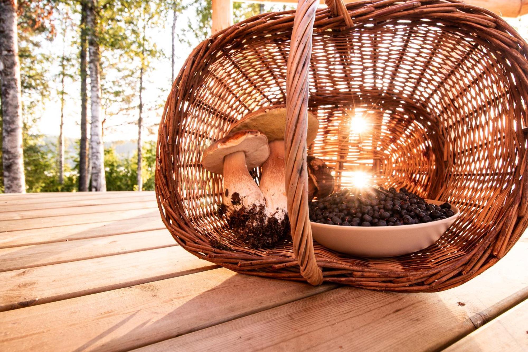 Blueberry Lodge 5 Personnes Mjolan المظهر الخارجي الصورة